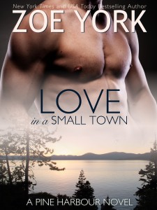 Love In A Small Town by Zoe York