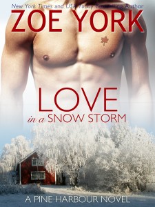 Love In A Snow Storm by Zoe York