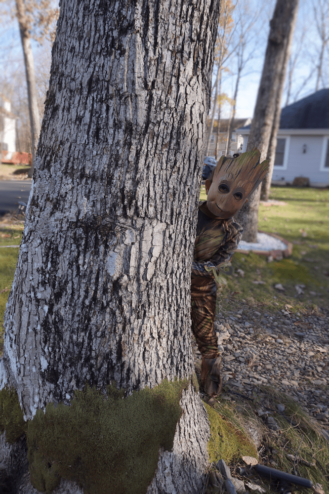 Groot Infinity War 10