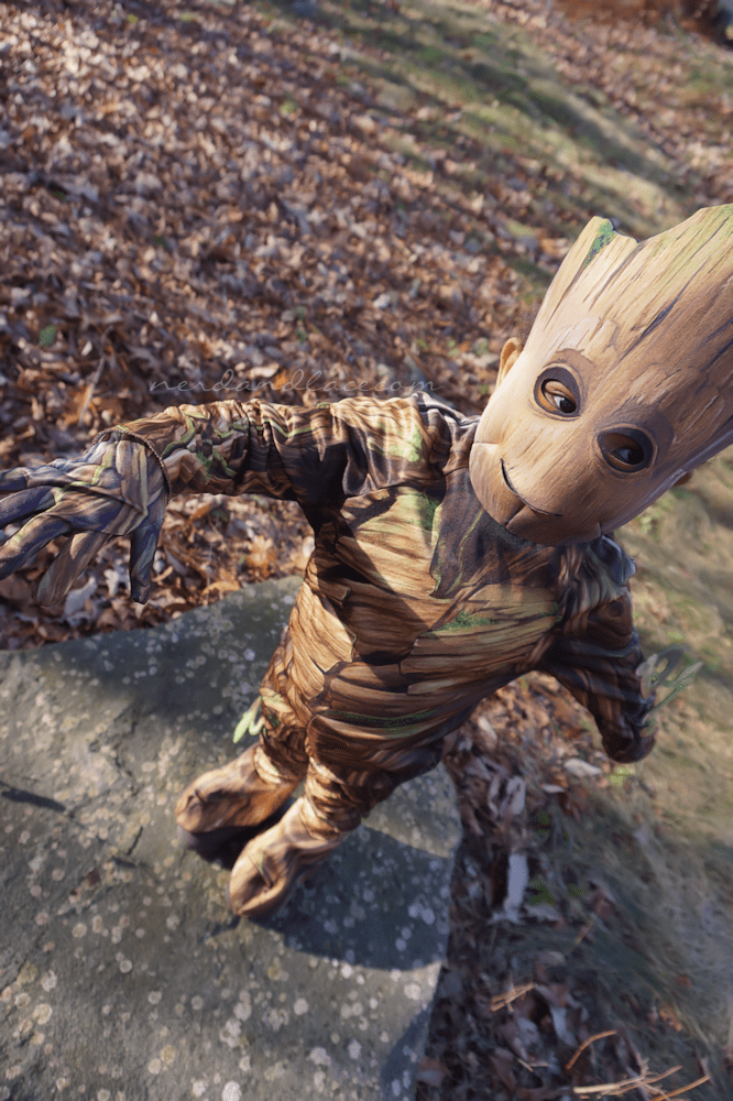 Groot Infinity War 9