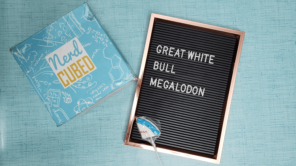 Nerd Cubed - Shark Week 3