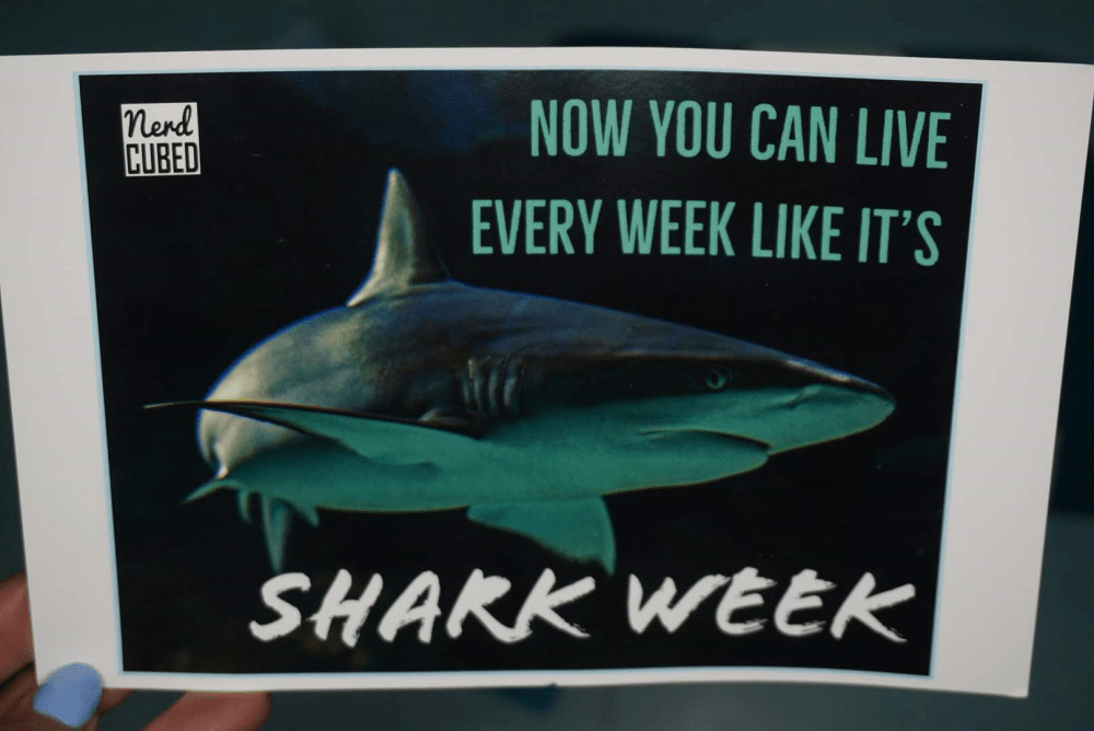 Nerd Cubed - Shark Week 5