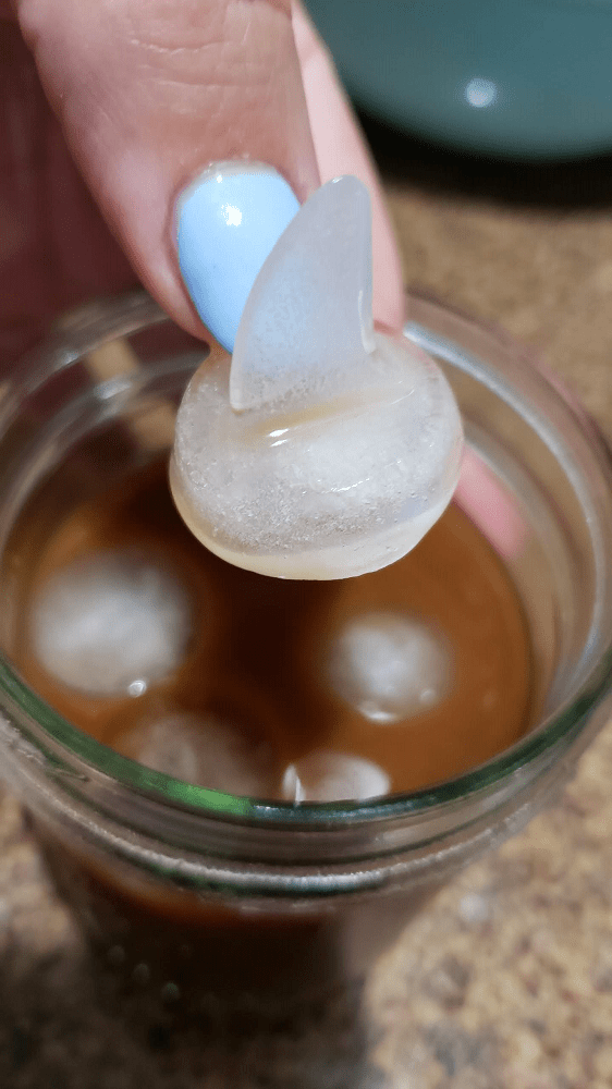 Nerd Cubed - Shark Week 6